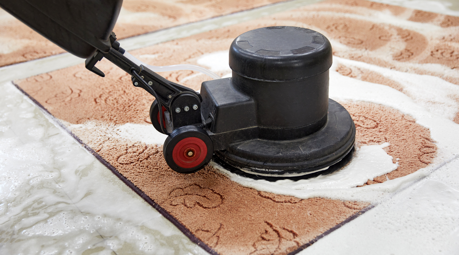 Clean Carpets, Healthier Homes